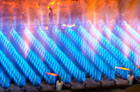 Blegbury gas fired boilers
